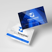 KARTY BIZNESOWE proste JEDNOSTRONNE.jpg