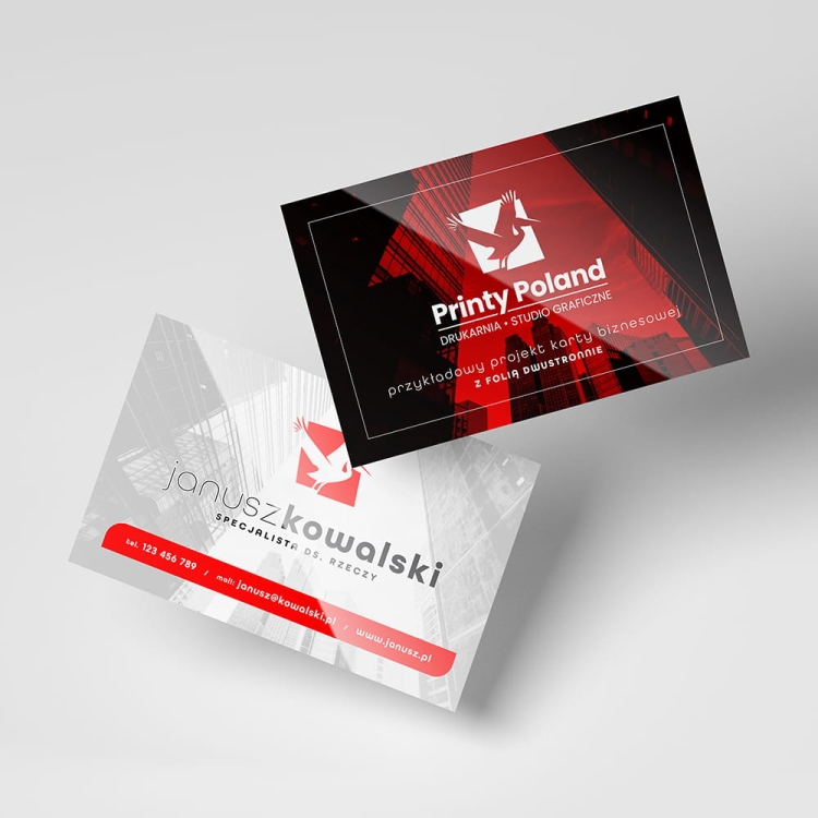 KARTY BIZNESOWE proste DWUSTRONNE.jpg